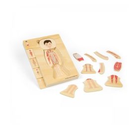 Big Jigs Anatomy Puzzle Boy