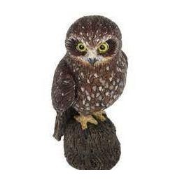 Boobook/Morepork Owl