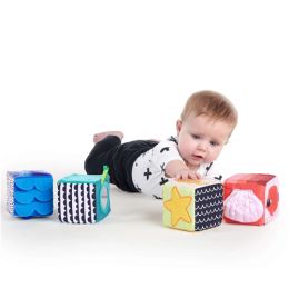 Baby Einstein Explore & Discover Soft Blocks