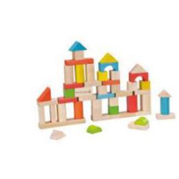 Everearth 50pc Building Blocks Set (d)