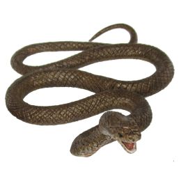 Brown Snake