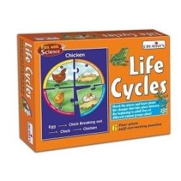 Life Cycles (d)