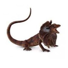 Collecta Frilled Neck Lizard