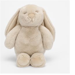Lily & George Littlefoot Bunny Biscuit