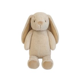 Lily & George Thumper Bunny Biscuit