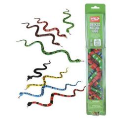 Nature Tube Snakes