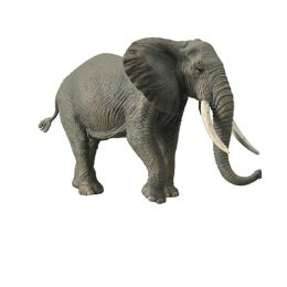 Collecta African Bush Elephant