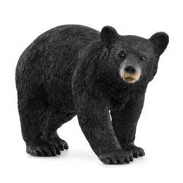 Schleich Black Bear