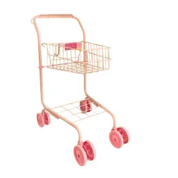 Sally Fay Rainbow Shopping Trolley