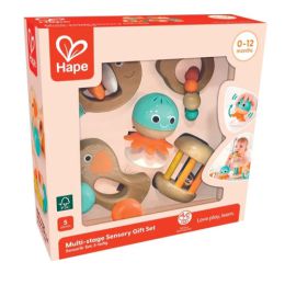 Hape Multi-Stage Sensory Gift