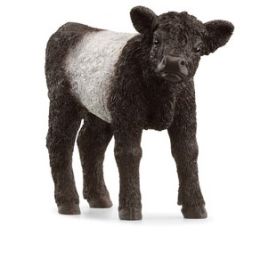 Schleich Galloway Calf