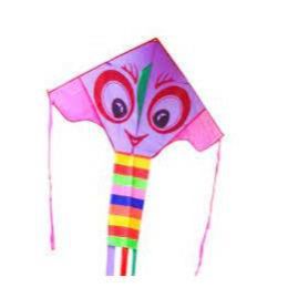 Bright Eyes Kite
