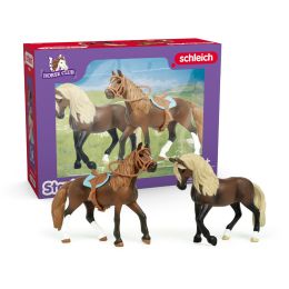 Schleich Horse Club Starter Set